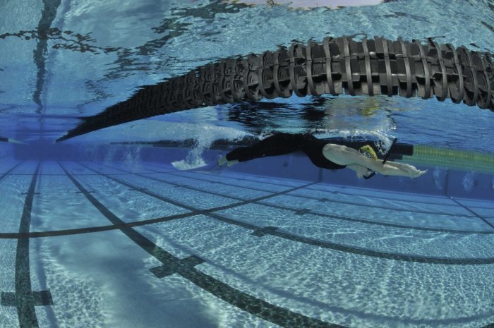 Photo Jean-Lou Ferretti